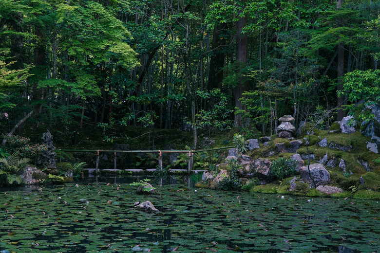 點我看大圖 京都四天三夜行程分享-五月新綠的的小旅行