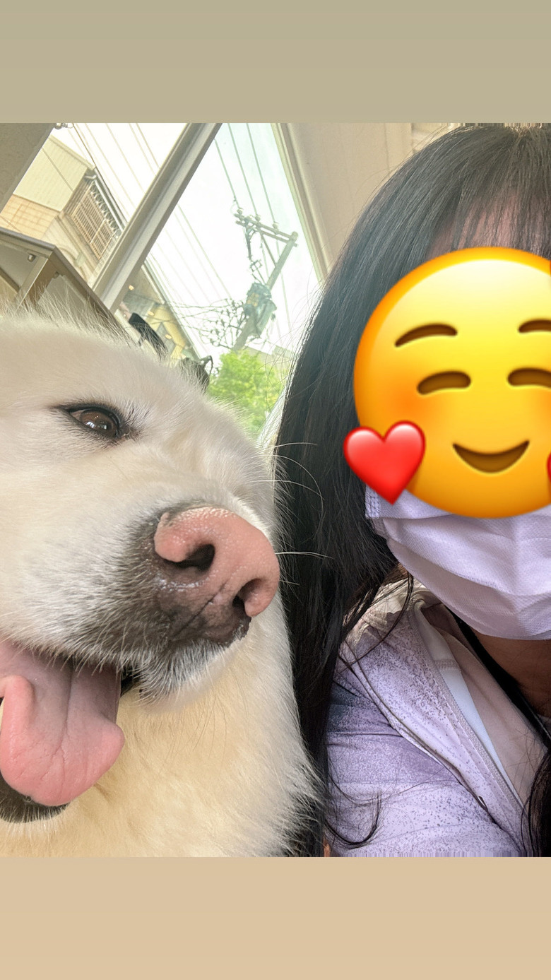 寵物友善餐廳 🐈⬛