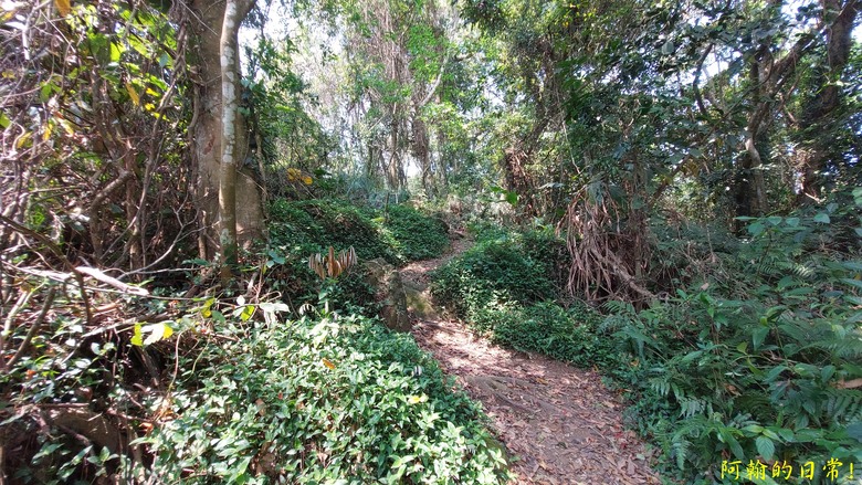 壯觀大岩壁，輕鬆健行獅山古道 獅頭山