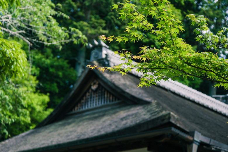 點我看大圖 京都四天三夜行程分享-五月新綠的的小旅行