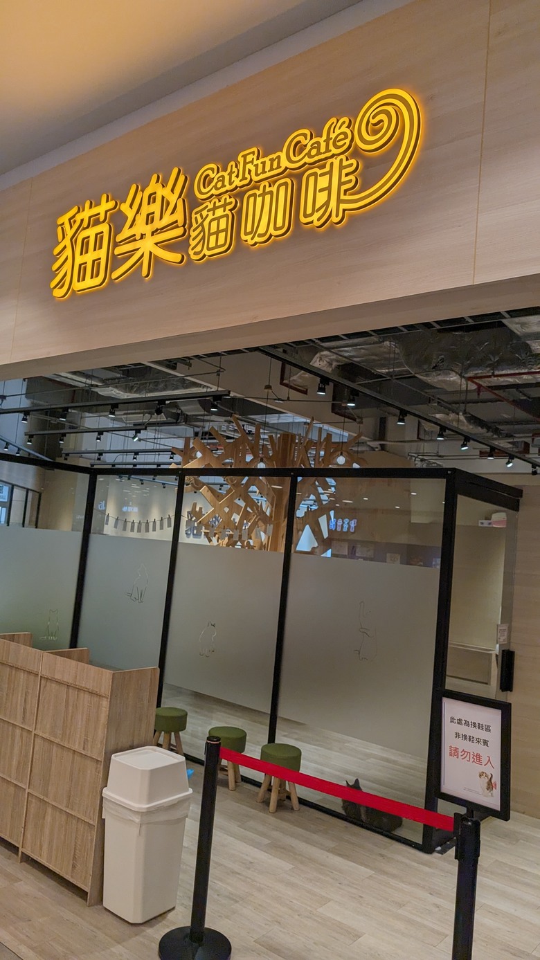 貓奴們的心靈治癒之地 - 貓樂貓咖啡 -