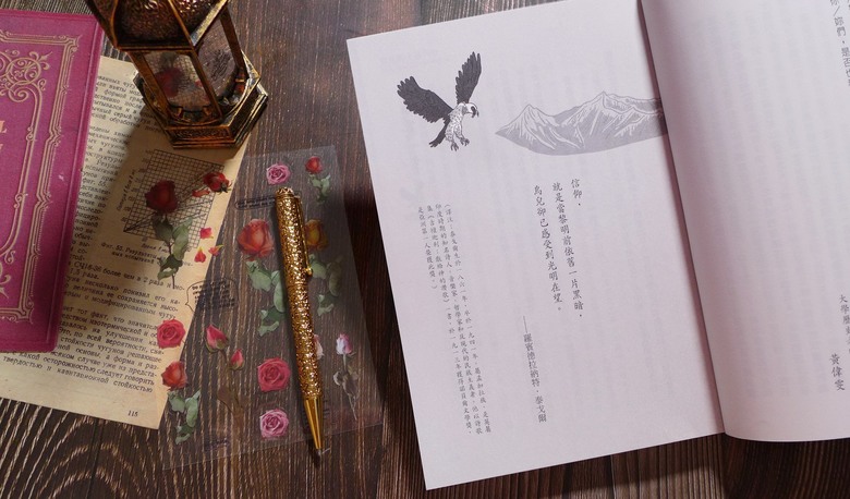 點我看大圖 青少年小說/童書《靈鳥的守護:少女愛莎的魔幻之旅》閱讀心得&贈書