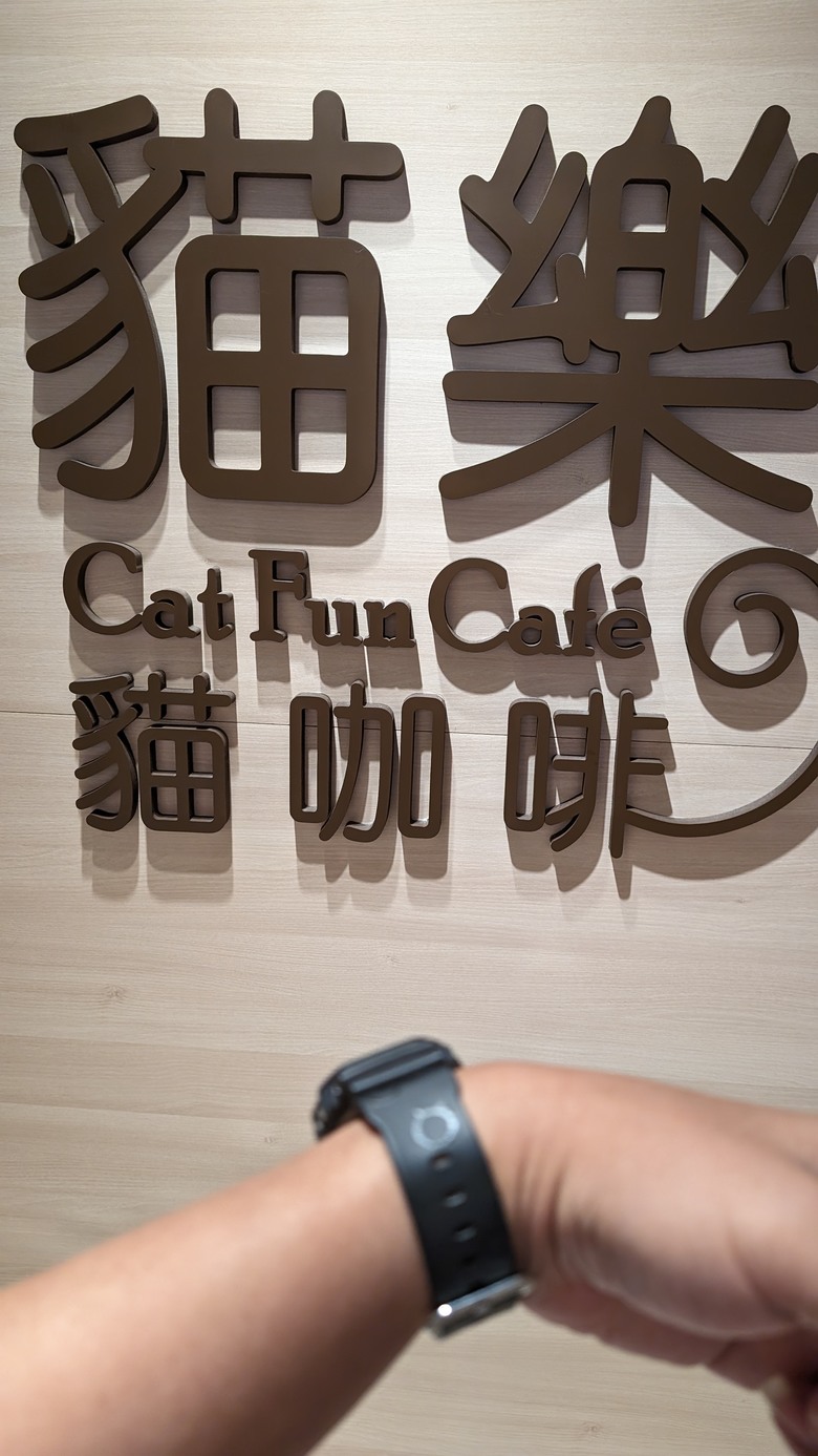 貓奴們的心靈治癒之地 - 貓樂貓咖啡 -