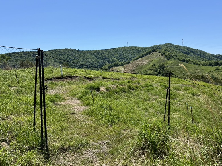 要走六天嗎?大六天山,一等!