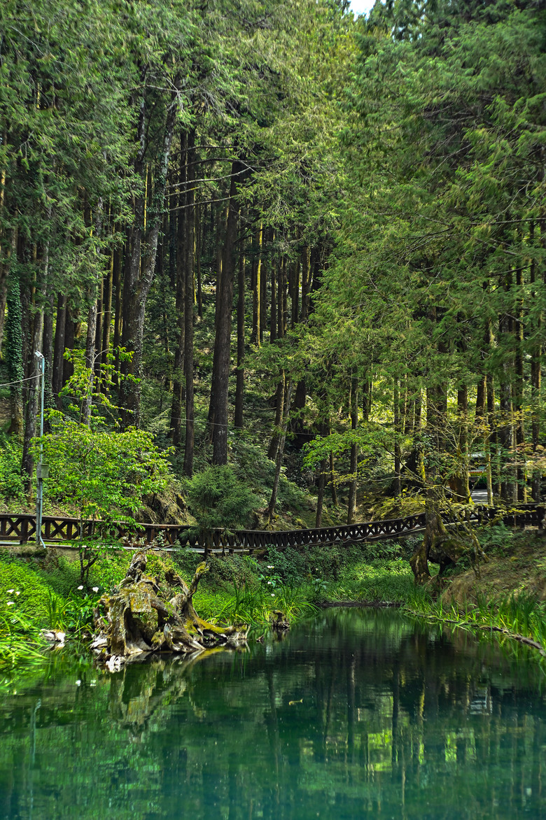 阿里山櫻花季,老鏡照片分享(meyer、steinheil、nikkor)