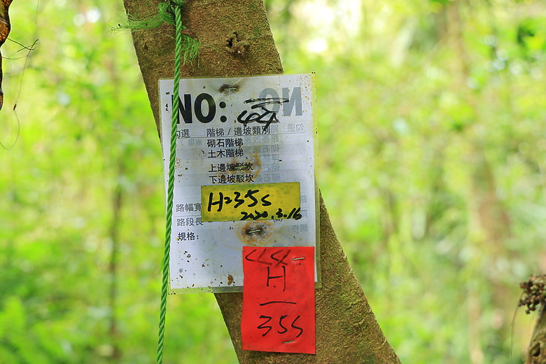 點我看大圖 (映像旅行) 穿梭漫遊淡蘭古道、感受茶葉運輸經濟in坪林、四堵古道feat.新北市觀光旅遊局