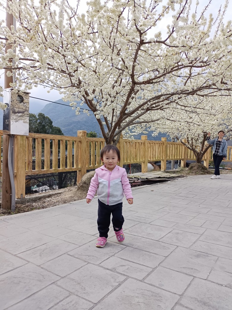 2024年,小小孩騎旅,南投,永不放棄塔塔加^_^