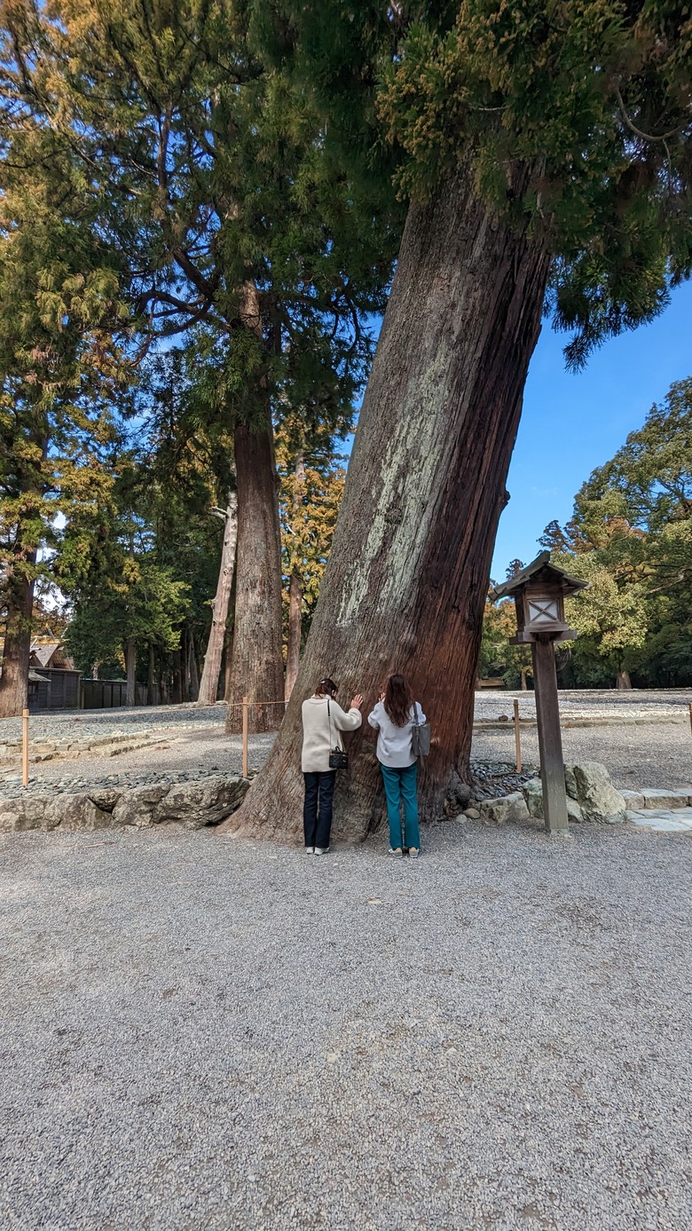 探訪日本人的心靈原鄉"伊勢神宮"