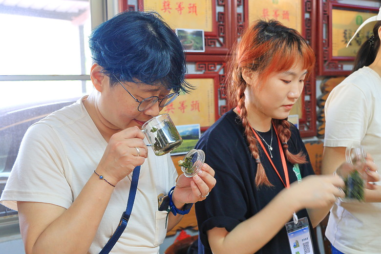 點我看大圖 (映像旅行) 穿梭漫遊淡蘭古道、感受茶葉運輸經濟in坪林、四堵古道feat.新北市觀光旅遊局