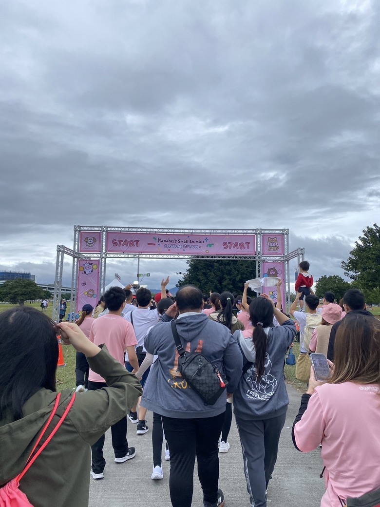 新跑步機啟動！夏天也可以輕鬆在家運動 tokuyo ititan 旗艦摺疊智跑機 TT-239