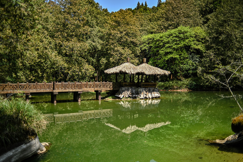 阿里山櫻花季,老鏡照片分享(meyer、steinheil、nikkor)