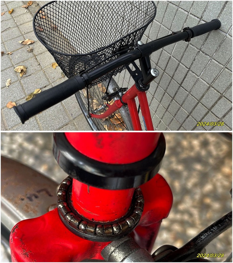 終於,我也有單速淑女車了 (新增GPS碼表)