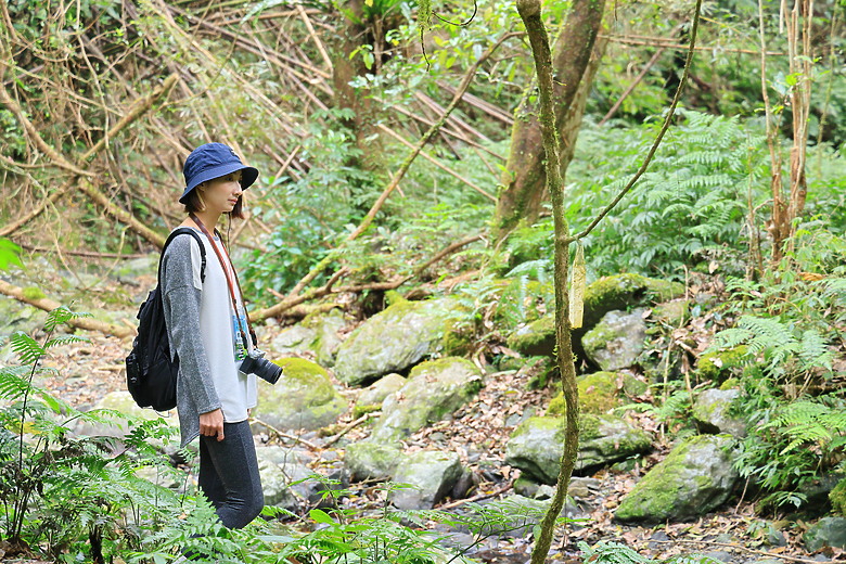 點我看大圖 (映像旅行) 穿梭漫遊淡蘭古道、感受茶葉運輸經濟in坪林、四堵古道feat.新北市觀光旅遊局