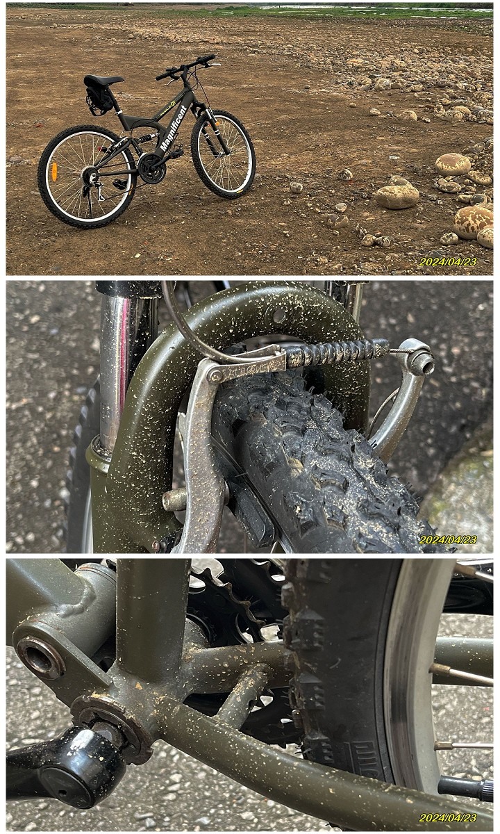 重建屁孩的雙避震登山車