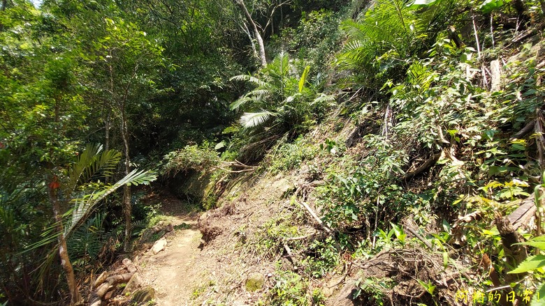 壯觀大岩壁，輕鬆健行獅山古道 獅頭山