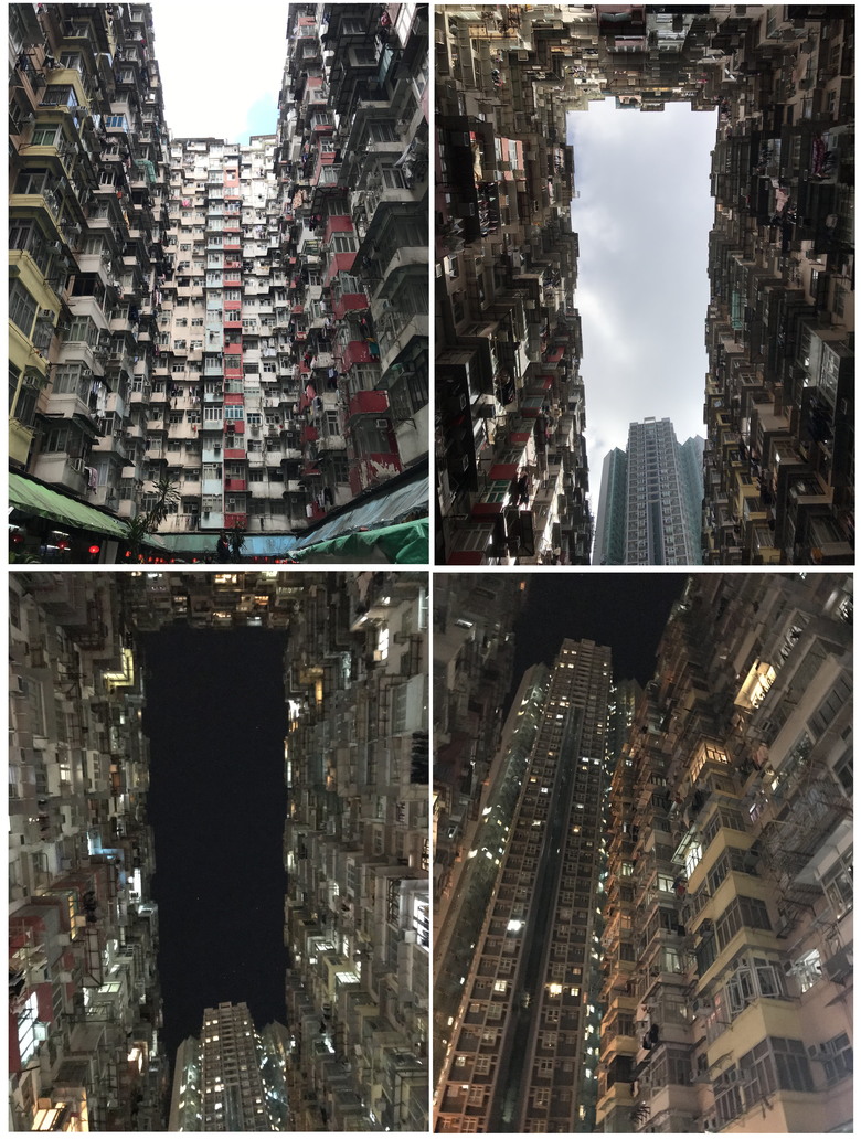《九龍城寨之圍城》觀影心得+贈2個小彩蛋