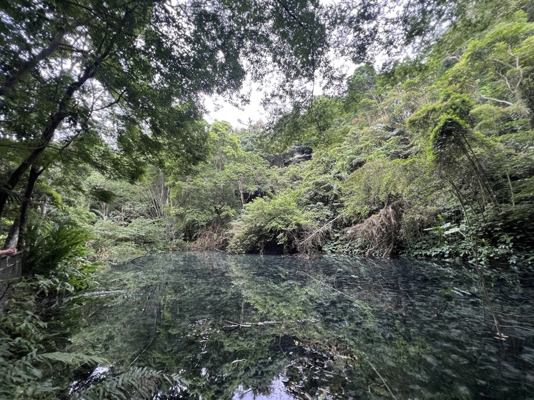 南庄 花魚蟲山水 兩天一夜輕鬆 GO!