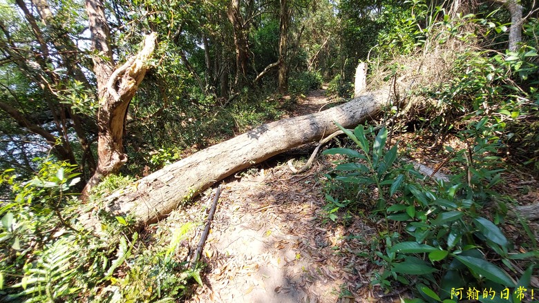 壯觀大岩壁，輕鬆健行獅山古道 獅頭山