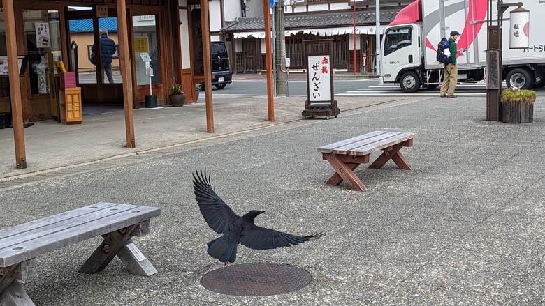 探訪日本人的心靈原鄉"伊勢神宮"