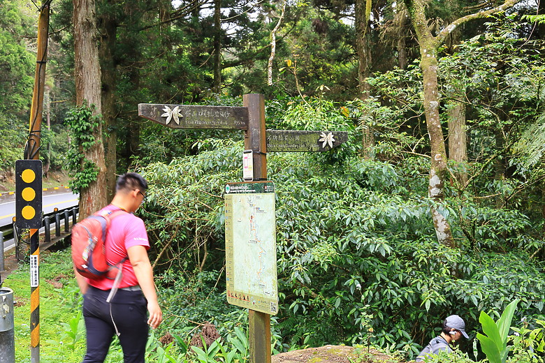 點我看大圖 (映像旅行) 穿梭漫遊淡蘭古道、感受茶葉運輸經濟in坪林、四堵古道feat.新北市觀光旅遊局