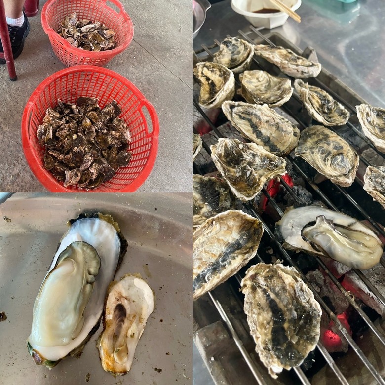 台南三天兩夜吃吃喝喝行~頑皮世界、奇美博物館、烤蚵吃到飽…