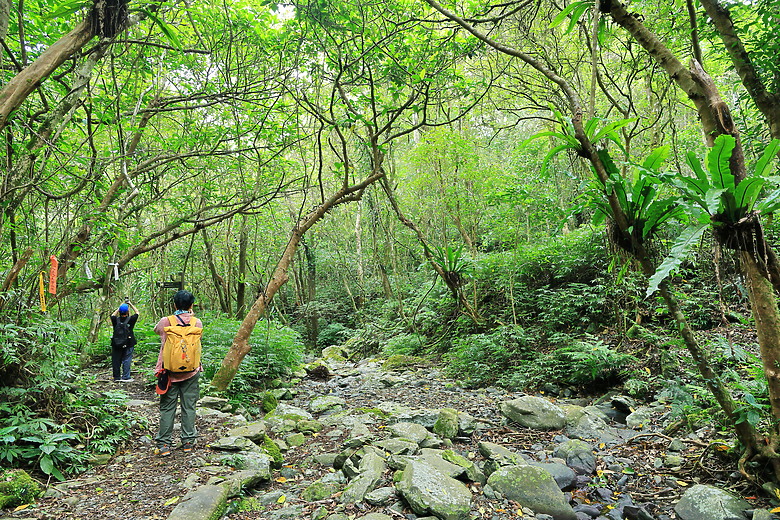 點我看大圖 (映像旅行) 穿梭漫遊淡蘭古道、感受茶葉運輸經濟in坪林、四堵古道feat.新北市觀光旅遊局
