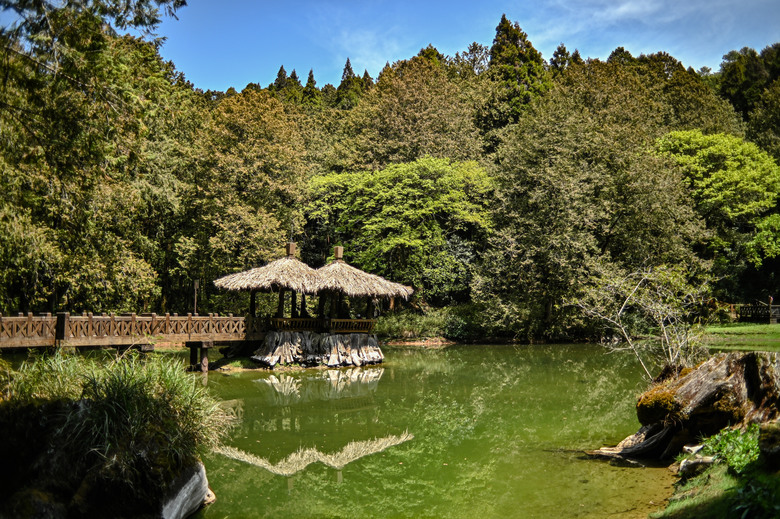 阿里山櫻花季,老鏡照片分享(meyer、steinheil、nikkor)