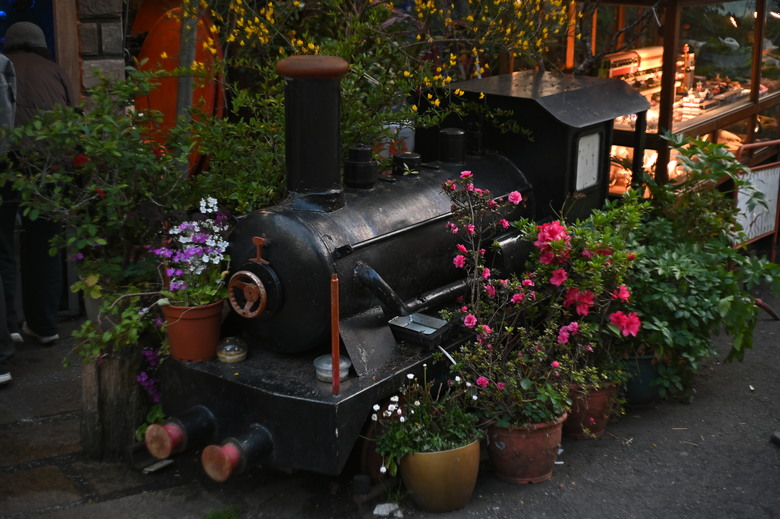 阿里山櫻花季,老鏡照片分享(meyer、steinheil、nikkor)