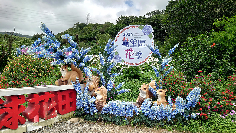 [景點]新北-萬里.雙興里(大坪聚落.繡球花田)-New Taipei.Wanli(Daping settlement.hydrangea garden)