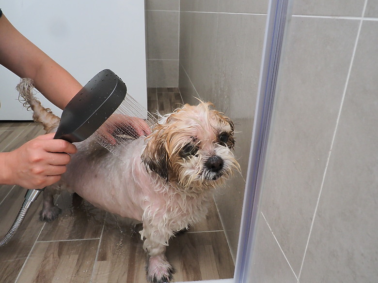海爾極致舒壓蓮蓬頭 帶來不一樣的沐浴新體驗!