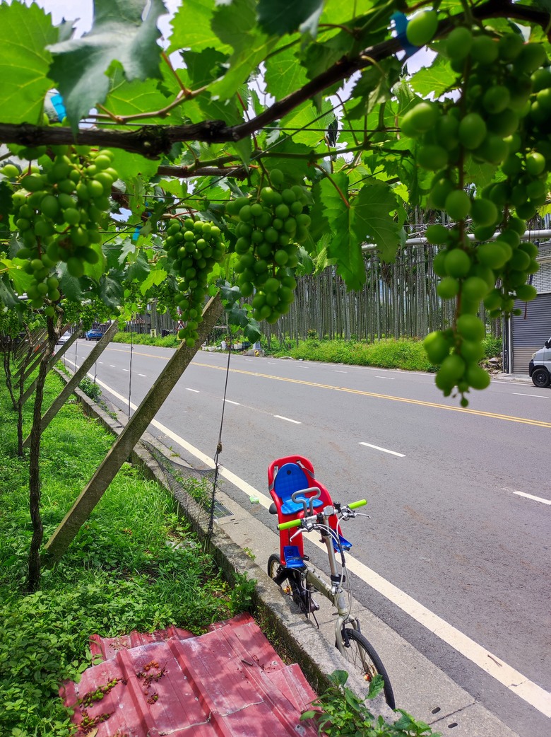 2024年,小小孩騎旅,南投,永不放棄塔塔加^_^