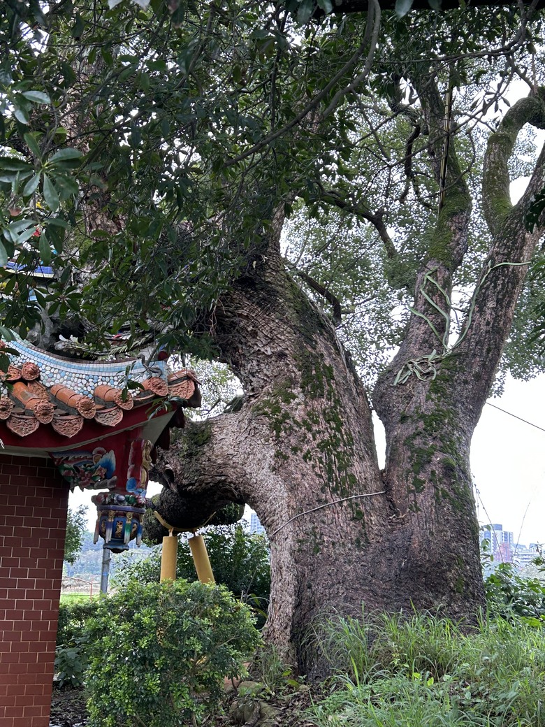 騎遊抗日保台第一戰(桃園平鎮)