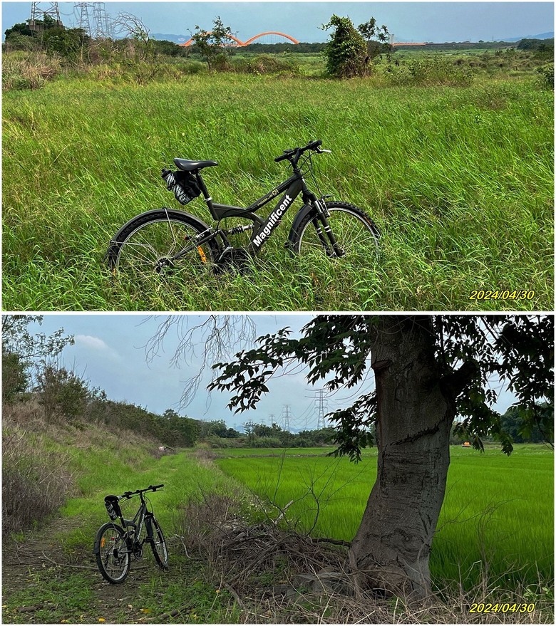 重建屁孩的雙避震登山車