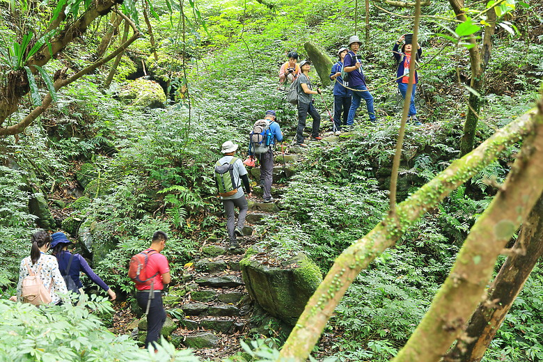 點我看大圖 (映像旅行) 穿梭漫遊淡蘭古道、感受茶葉運輸經濟in坪林、四堵古道feat.新北市觀光旅遊局