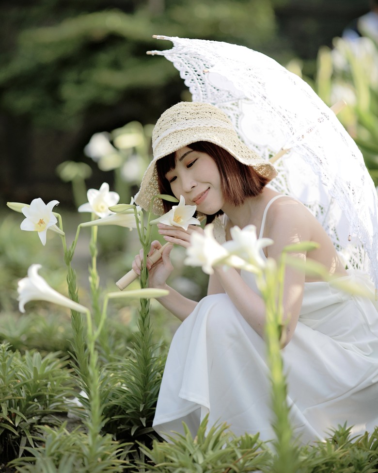 無意中抓住了尾巴的尾巴｜香消蕊殞的百合依然優雅