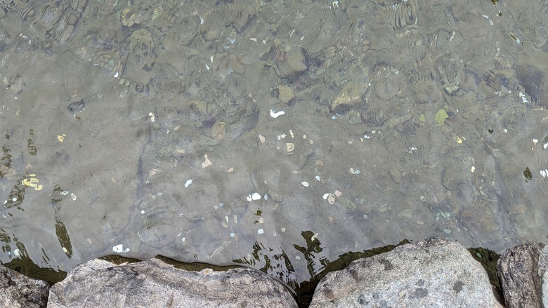 探訪日本人的心靈原鄉"伊勢神宮"