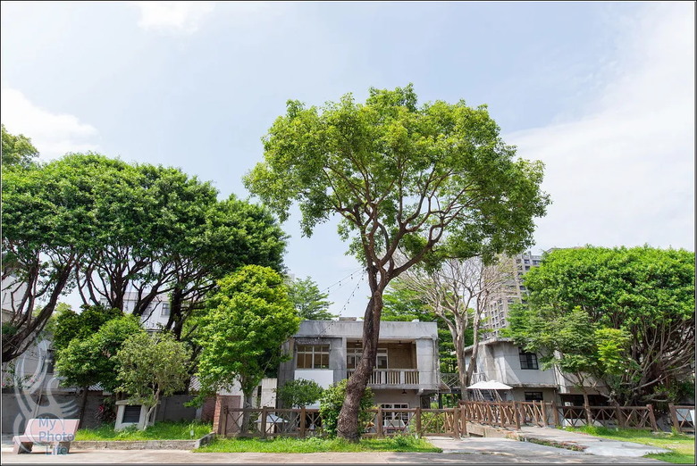 PENTAX HD D FA 21mm F2.4 Limited DC WR 遠近皆宜,超強近拍廣角鏡頭.開箱測試