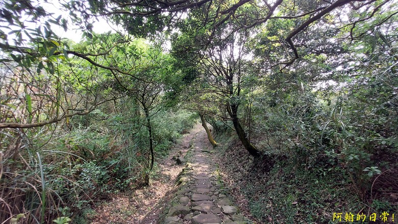 [踢不爛大地遊戲] 輕鬆走走清幽的絹絲瀑布步道