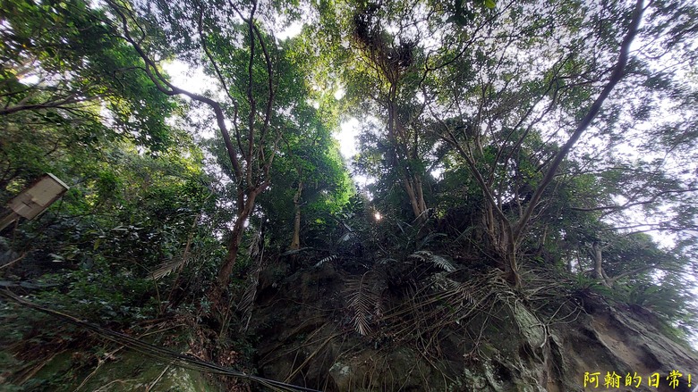 壯觀大岩壁，輕鬆健行獅山古道 獅頭山