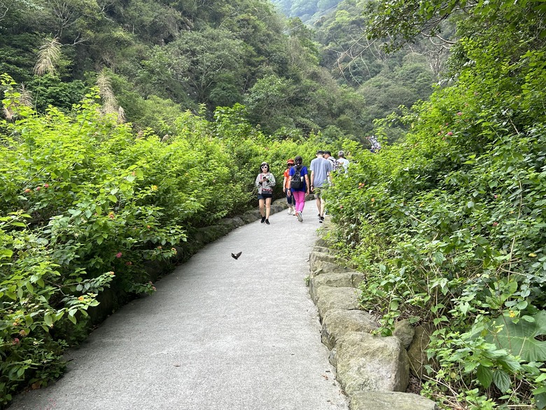 嘉義秘境景點-觀音瀑布、飄雨谷、竹崎親水公園