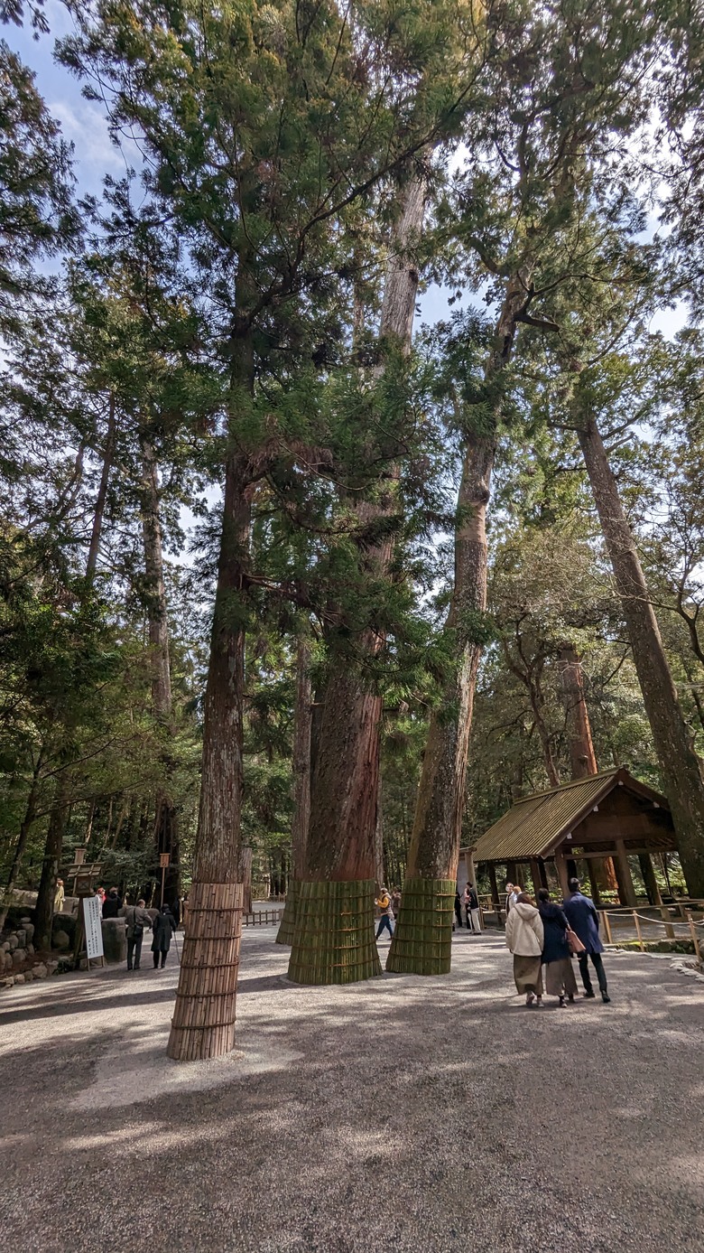 探訪日本人的心靈原鄉"伊勢神宮"
