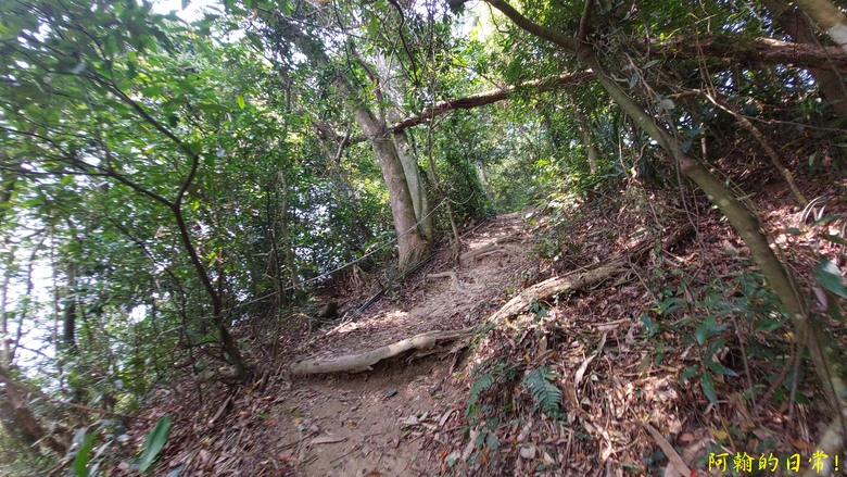 壯觀大岩壁，輕鬆健行獅山古道 獅頭山