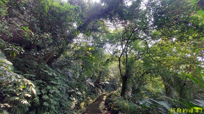 壯觀大岩壁，輕鬆健行獅山古道 獅頭山