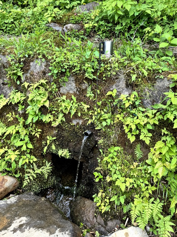 就只是要泡個湯 - 福島安達太良山