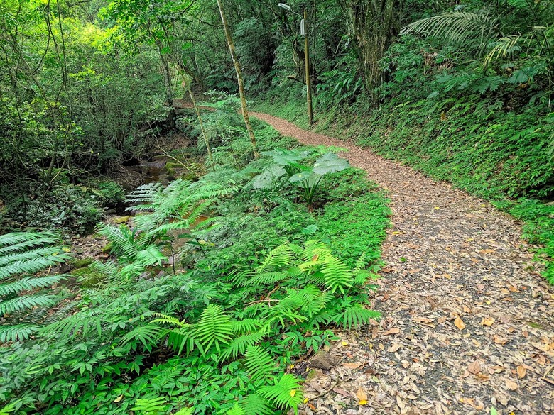 從友蚋上風櫃嘴｜礦業遺跡+林蔭小路+溫柔上坡｜路程景