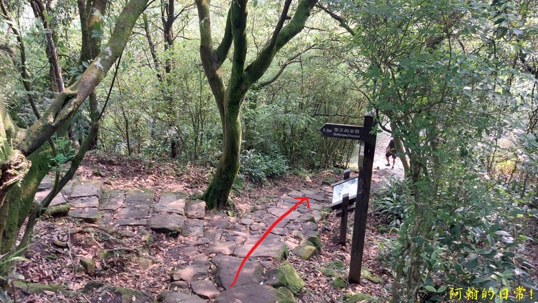 [踢不爛大地遊戲] 輕鬆走走清幽的絹絲瀑布步道