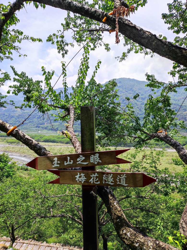 2024年,小小孩騎旅,南投,永不放棄塔塔加^_^