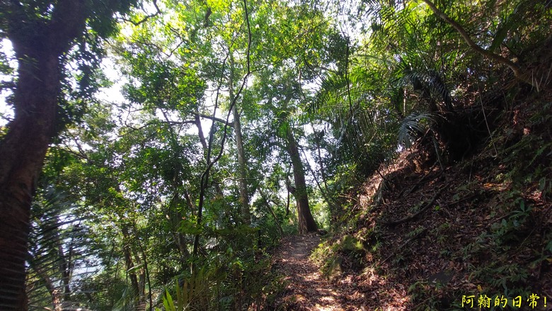 壯觀大岩壁，輕鬆健行獅山古道 獅頭山