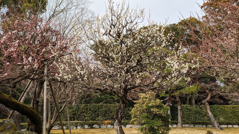 探訪日本人的心靈原鄉"伊勢神宮"