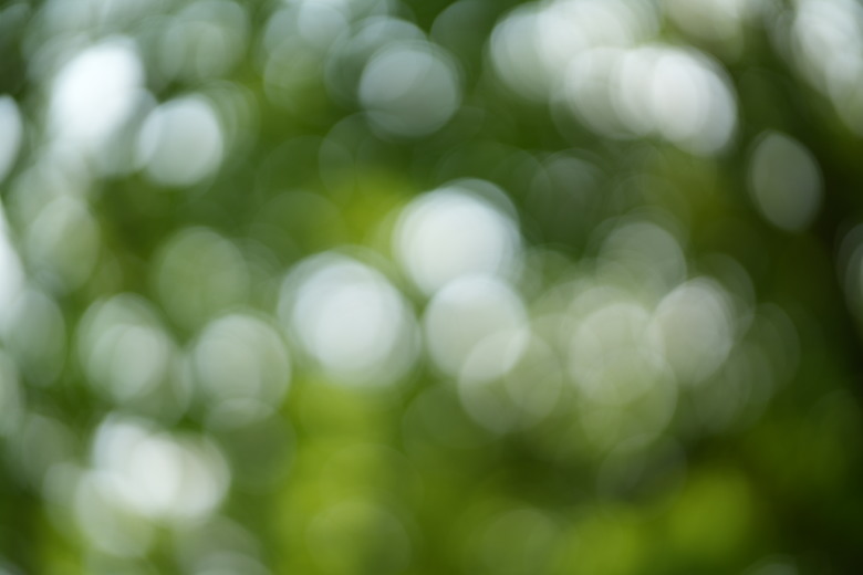 Sigma 50mm f/1.2 DG DN Art 評測報告｜一鳴驚人、副廠超大光圈代表作！